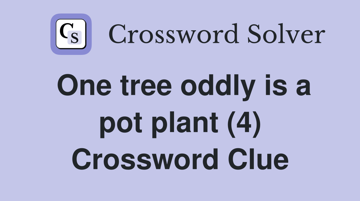 One tree oddly is a pot plant (4) Crossword Clue Answers Crossword